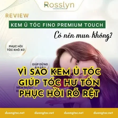 Vì sao kem ủ tóc giúp tóc hư tổn phục hồi rõ rệt