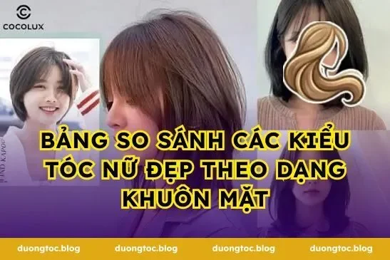 Bảng So Sánh Các Kiểu Tóc Nữ Đẹp Theo Dạng Khuôn Mặt