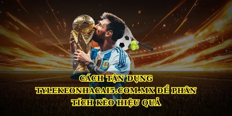 Cách tận dụng seniorhosting.io để phân tích kèo hiệu quả