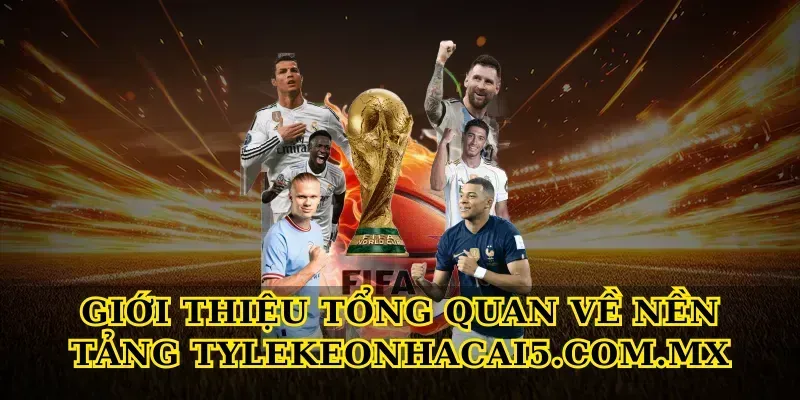 Giới thiệu tổng quan về nền tảng seniorhosting.io